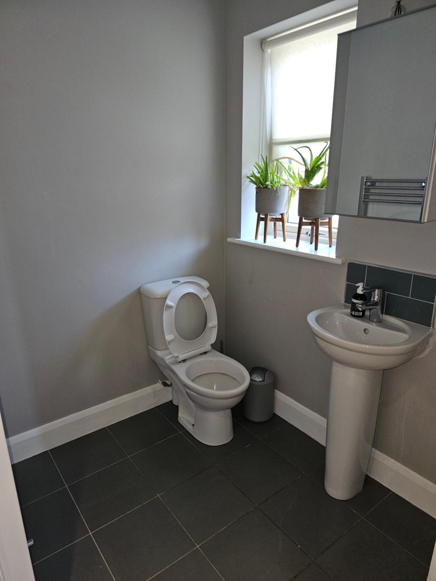 Modern 4-5 Bedroom House Vakantiehuis Dublin